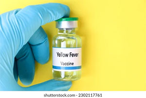 Yellow Fever Vaccination Now Available at Sandy Hill Medical Centre